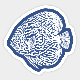 Pompadour Fish or Discus Fish - aquarium lovers ink drawing Sticker